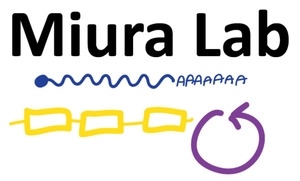 Pedro Miura Lab